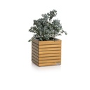 Lechuza PALO Natural Wood 35 low - Set complet FSC® 100% bois d'eucalyptus