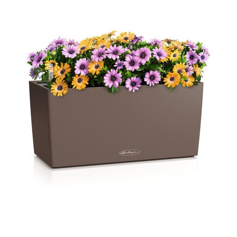 Lechuza BALCONERA Color 40 muscade